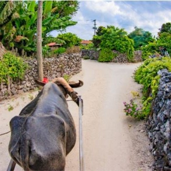 Ishigaki  Taketomi  Ishigaki