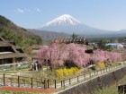 Tokyo - Mt. Fuji - Tokyo (Tour Depart between 21 Apr - 1 May)